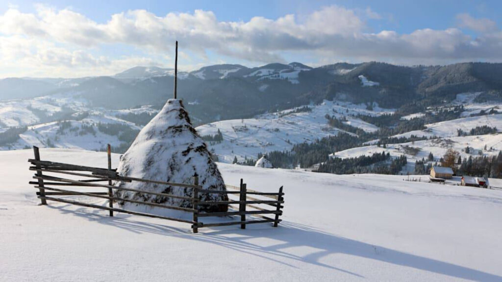 панорама карпатськіх гір