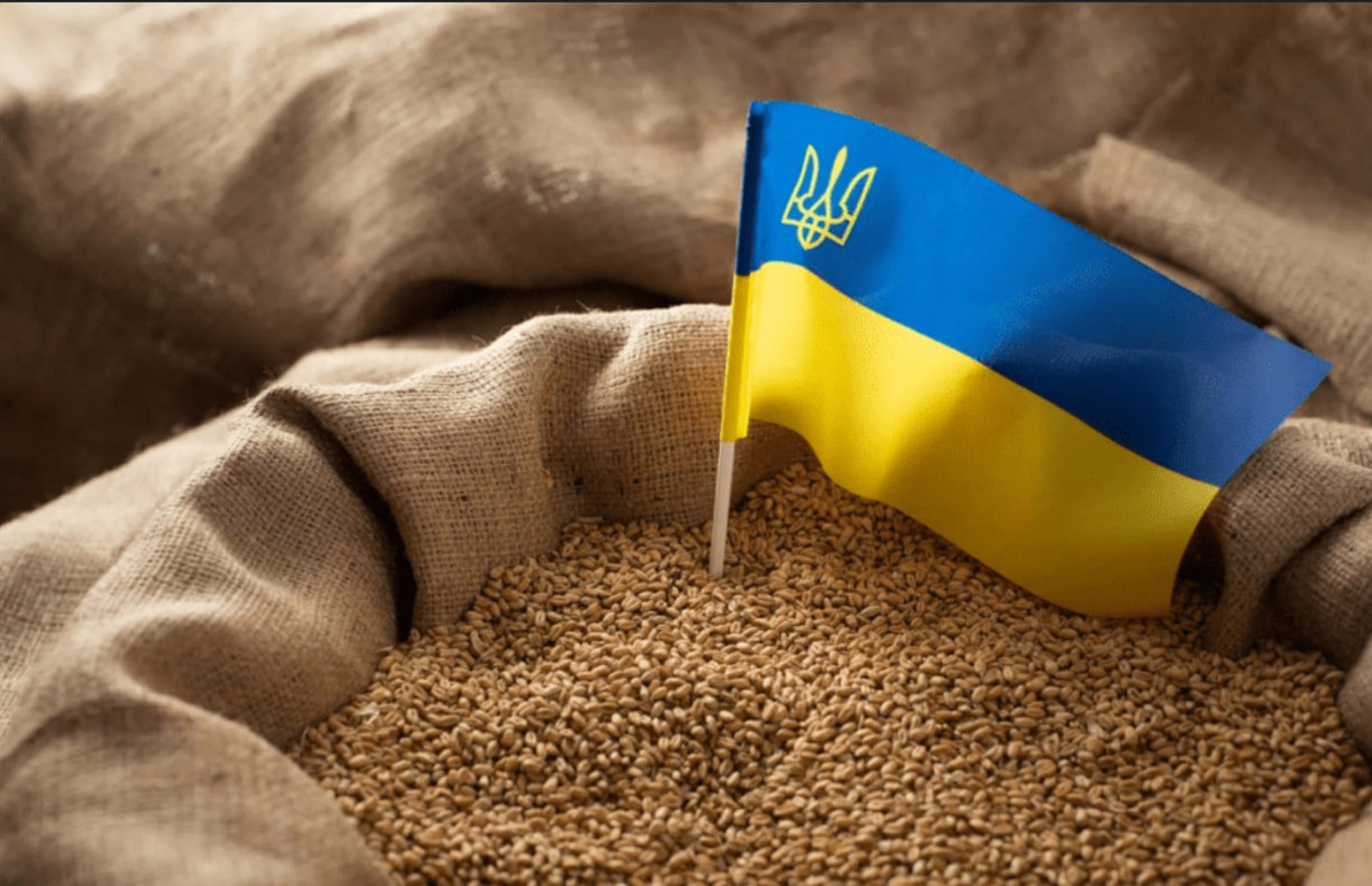 мешок із зерном