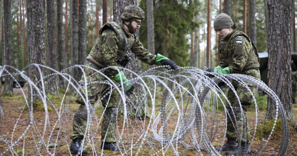 колючий дріт на кордоні Естонії та Росії