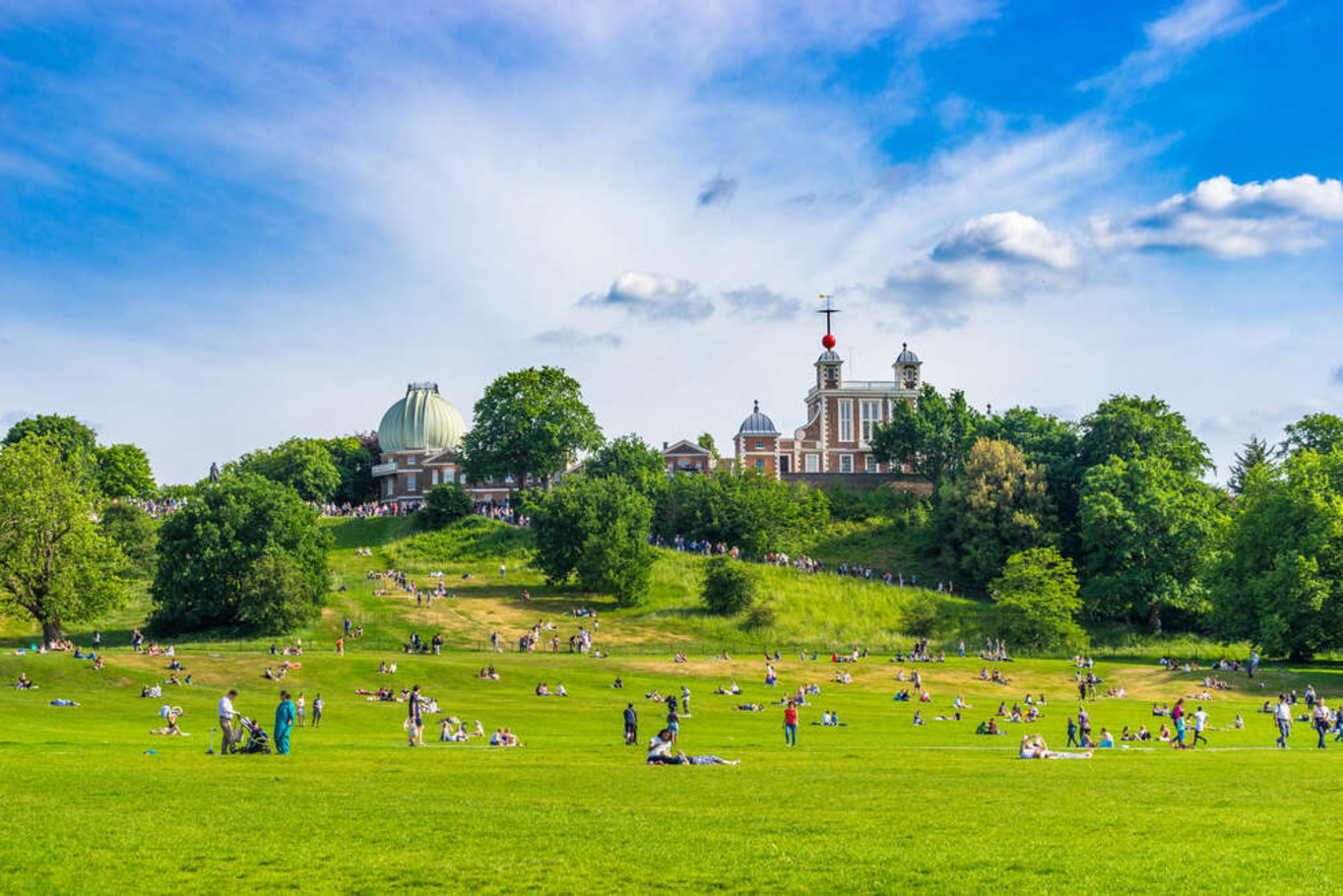 лужайка