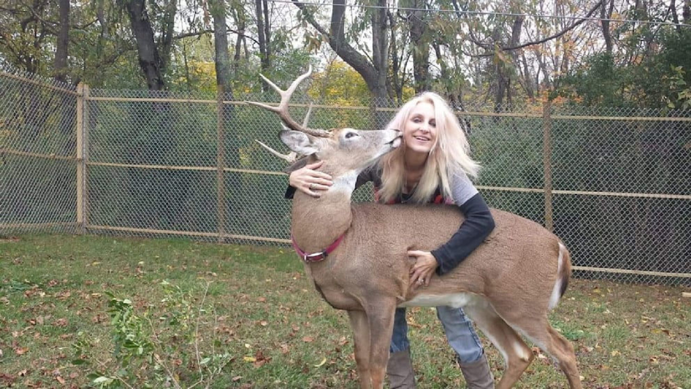 жінка та олень