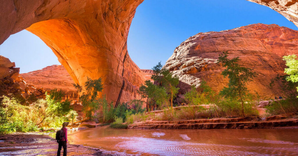 каньон у США