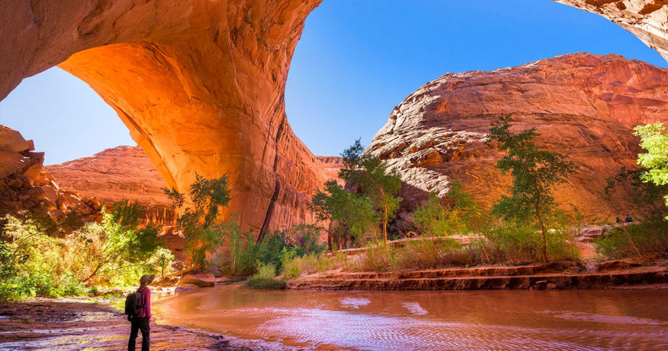 каньон у США