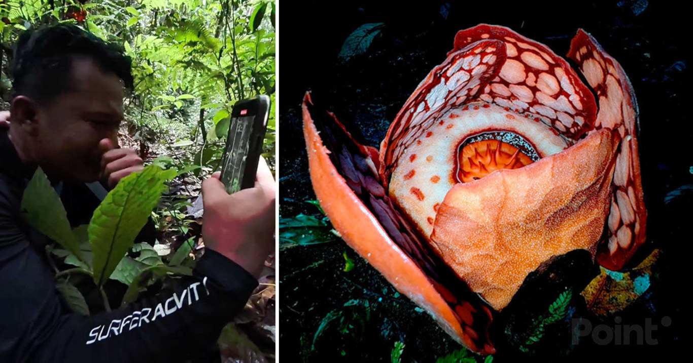 чоловік та квітка