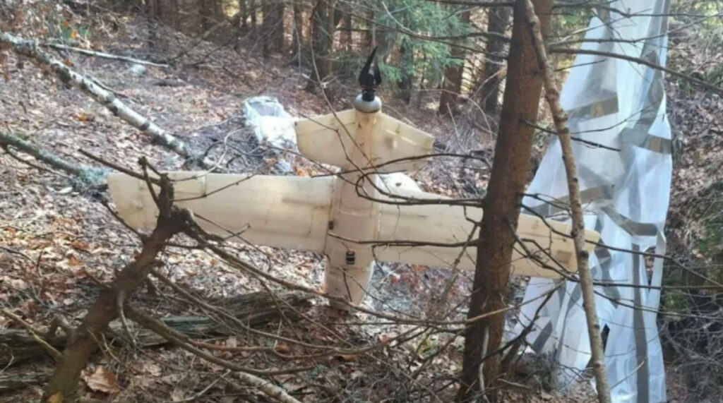 впавший дрон у лісі