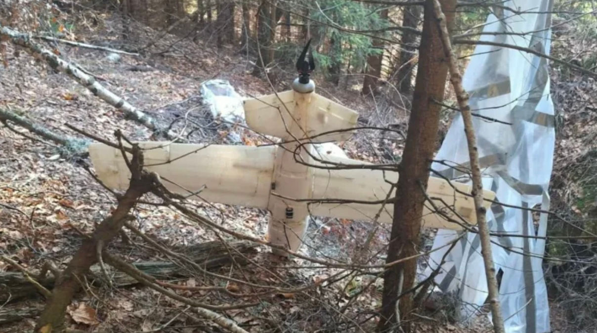 впавший дрон у лісі