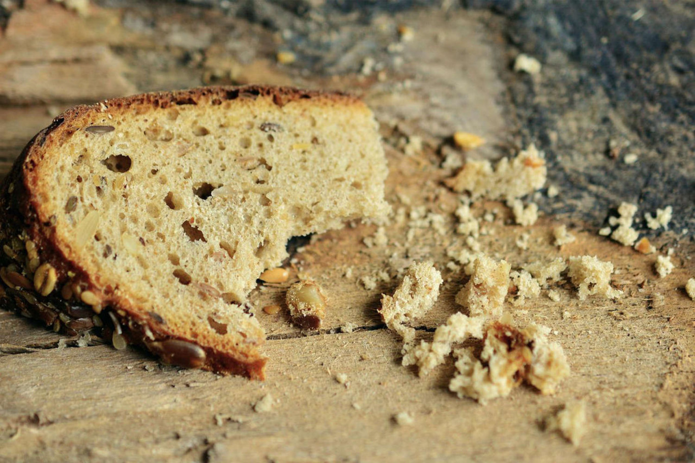 шматок хлібу