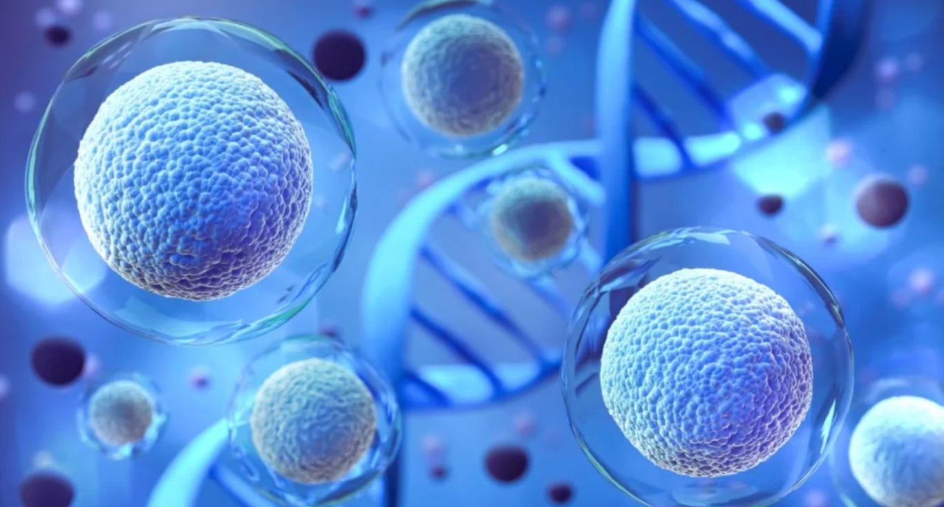 клітини людини