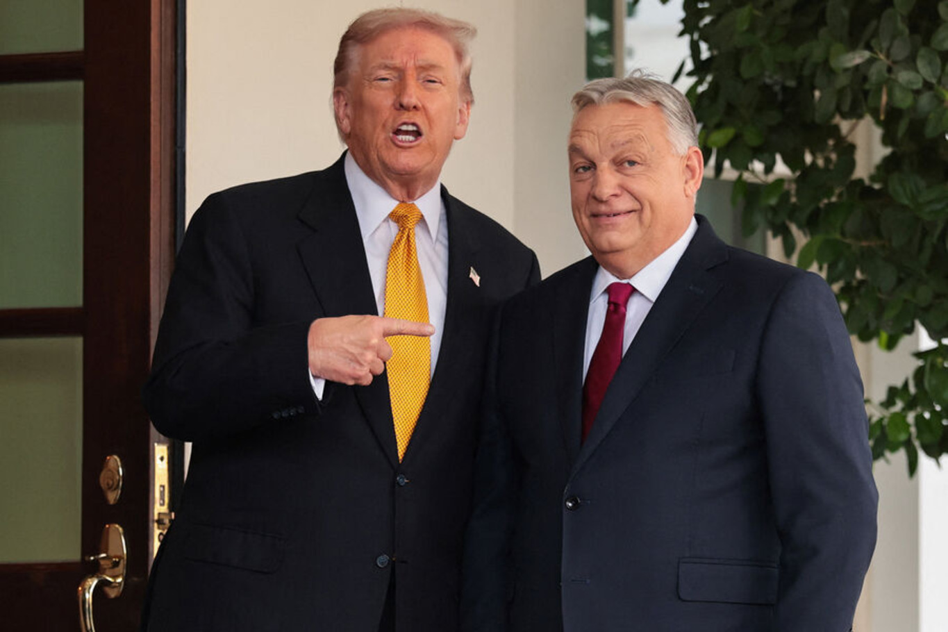 Трамп і Орбан