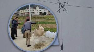 У Китаї свиня на дроні залишила ціле село без електрики