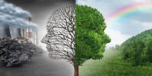 У світі лише 13 країн дихають безпечним повітрям