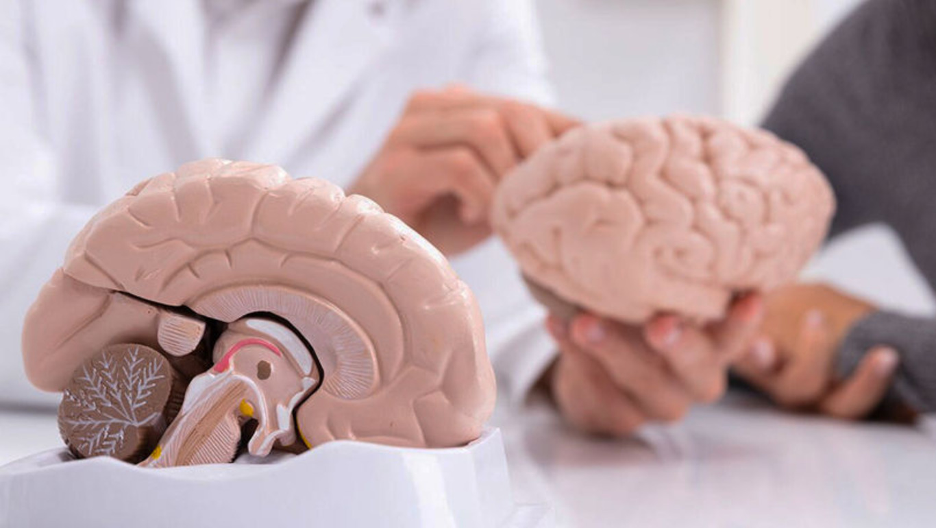 мозок людини