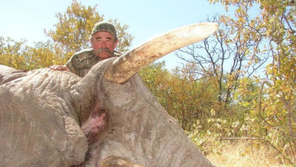 мисливець на фоні вбитого слона