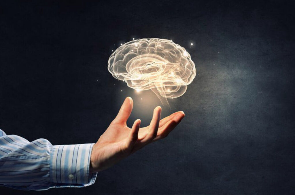 людський мозок