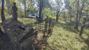 На цвинтарях навколо Чорнобиля ростуть дерева зі стовбурами понад 5 метрів в обхваті